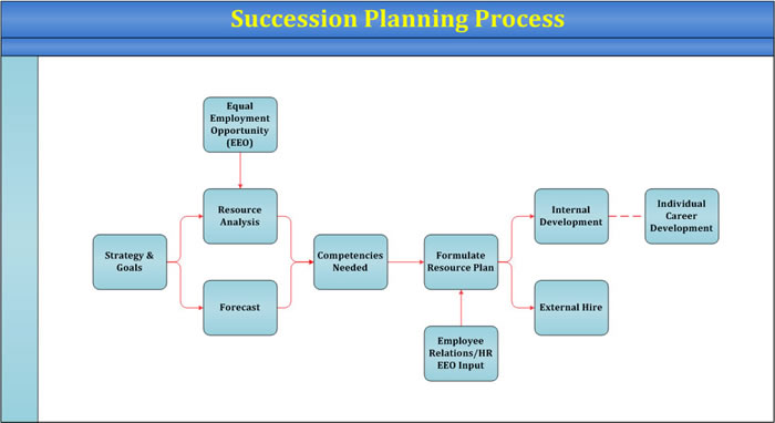 Succession Planning Process Flow